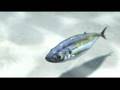 3ds max fish animation