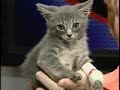 WXII 12 Pet Of The Week: Murray WXII 12 Pet Of The Week: Murray