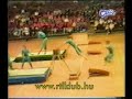 Gymnastic accident