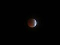 lunar eclipse -- march 3rd 2007