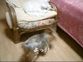 Get out of my way!