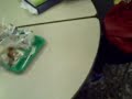 CLIP0007