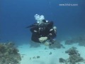 SCUBA: Deco Stage Regulator Stowage