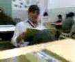 en el cole   .com/tecoomootooda