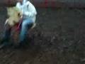 riding teh lion 2
