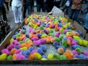 Pulcini fluo a Casablanca