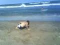 Vacaciones 2008 - Saltando en la Playa