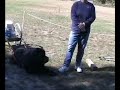 NESBC , Working Dog Demonstration Part 6 NESBC , Working Dog Demonstration Part 6