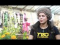 Defend Grow Heathrow!- help needed for November 17th 2011
