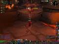 Can a paladin tank?