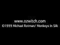 the oz witch project