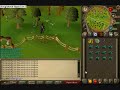 making money guide alching yews longbows buying only nats making money guide alching yews longbows buying only nats