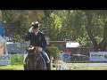 The Adelaide Equity Partners Australian International 3 Day Event CCI****  (part 1)