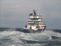 ouessant bourbon