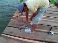 De Pesca en San Roman, Centla , Tabasco PARTE 3 De Pesca en San Roman, Centla , Tabasco PARTE 3