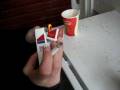 videos de MVI_3930.avi