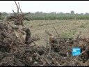 Would you like to taste 'Crap Wine'?