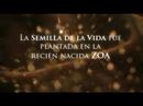 0 Videopromo de Faceboom, de Juan Faerman
