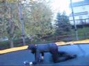Aaron the Ninja