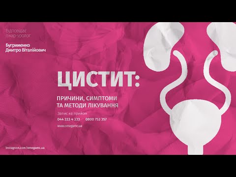 Цистит: симптомы, причины, диагностика, лечение