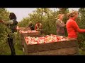 Reclame Leukste Commercial Petje Pietamientje anno 2007 Reclame Leukste Commercial Petje Pietamientje anno 2007