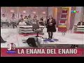 la enana del enano, polino la enana del enano, polino