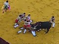 Forcados Amadores de Santar�m - Campo Pequeno 2008