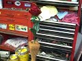 Steel Rose