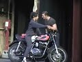 Follow That Dream, All Shook Up, Jess Murphy, Danny Amy