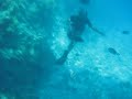 Snorkelling in the Red Sea