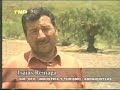 Andahuaylas Raza de Pumas y C�ndores (Parte 1)