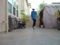 videos de C-Walk - 6 Months