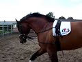 Edward Gal - VDL Prestige longeren
