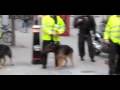 G20 Meltdown - Death of Ian Tomlinson