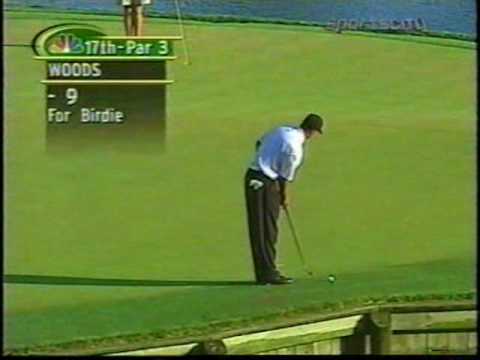Tiger Woods impressions Golf! Hole in One