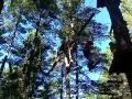 woodhill tree adventures.mp4