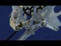 Locust Inspired Jumping Robot