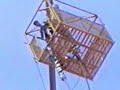 bungee by R.P. bungee by R.P.