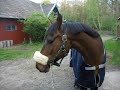Min älskade Bys. jag saknar dig enormt . vill bara att du ska vara kvar hos mig. ÄLSKLINGS Bys