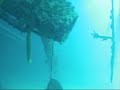 Bonaire 2008