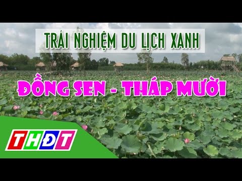 Du lịch Đồng Sen Tháp Mười