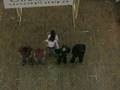 Industrial Engineering Conference, ETS 2007- U of T Video