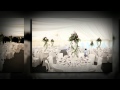 Summer Garden Marquee