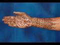 2009 Bridal Mehendi Designs