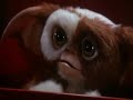 James Mogwai