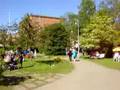 Stadsfesten i Skellefteå