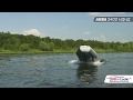 миниатюра 0 Видео о товаре Аква 3400 НДНД (Лодка ПВХ под мотор НДНД)