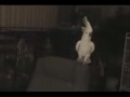 BCTsouthflorida.com Funny Parrot Video