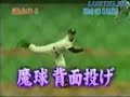 Japanese Pitcher technik Japanese Pitcher technik