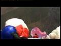 The Balloon Jump (Paramania Team)
